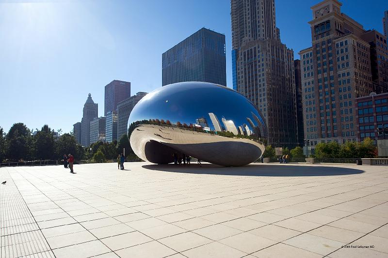 20081030_124023 D3 2x3 P1 srgb.jpg - Views of Cloud Gate which provides stunning reflections of the surrounding buidings.  Also called the Bean